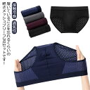 下着 薄手 インナー 無地 3枚入り メッシュ 蒸れない ブリーフ ブリーフパンツ 男性 パン 通気性 ショーツ 紳士 アンダーウェア
