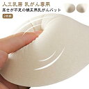 人工乳房 乳がん専用 軽量フルカッ 2枚組 ボディメイク 乳がんパット 乳がん 乳がんパッド 送料無料 肩こり パッド パット 乳癌
