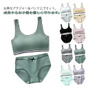 リブ シンプル ジュニアブラジャー ショーツセット 英字ロゴ ジュニア向け フィ ノンワイヤーブラ 上下セット スポーツブラ 学生