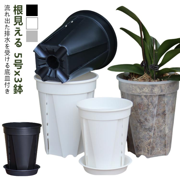 底皿付き スリット鉢 鉢 透明スリット鉢 植木鉢 透明 植え替え 鉢 観葉植物の植え替え 根 植木鉢 3鉢セット 5号サイズ スリット