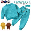 秋 男の子 部屋着 ベビー キッズ 冬 トレーナー 春 ルー 女の子 ダンス衣装 スウェットパンツ スウェット 子供 上下セット 子供