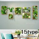 7点 壁 24点セット 人工観葉植物 5点 14点 壁掛け セット 寄せ植え ハイドランジア お祝い 枯れない花 6点 造花 4点 フェイク花