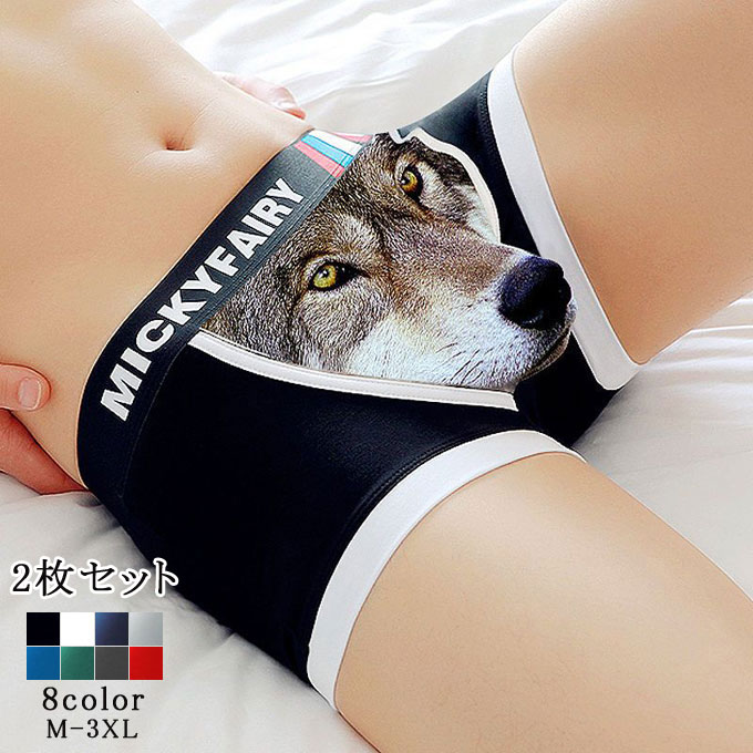 ブリーフ アンダーウェア ヒップハング ローライズ インナー メンズ メンズショーツ 3Dプリン パンツ ..