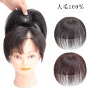 人毛100% 自然 女性用 ウィッグ かつら 部分ウィッグ 頭 ミセス 白髪隠し 部分かつら 長15cm つけ毛 薄毛対策 ヘアピース 増毛