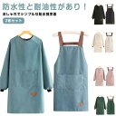 袖付き キッチン かっぽう着 長袖 おしゃれ 大きいサイズ 保育士 レディース 保育士 メンズ 2枚セット 料理教室 割烹着 エ 無地