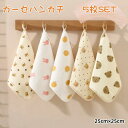 ハンドタオル ベビータオル ベビービブ ループ付き ガーゼハンカチ ガーゼタッチ リバーシ あかちゃん 5枚セット タオルハンカチ