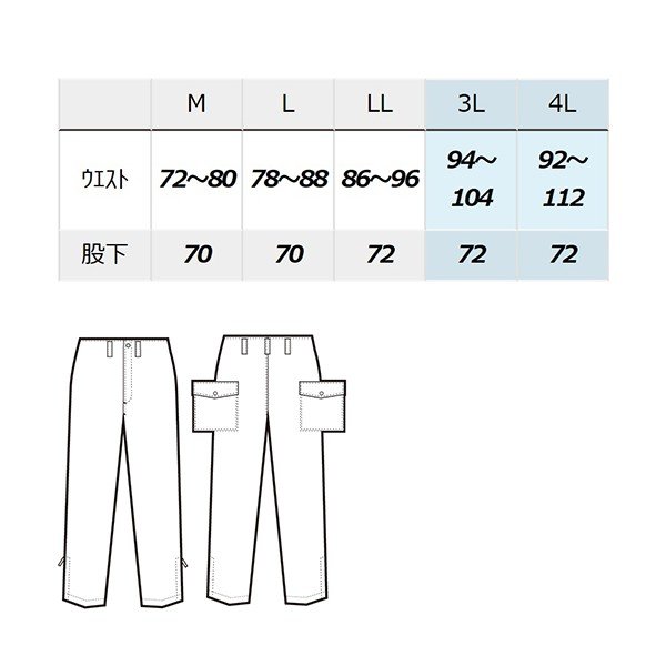 AZ-10752 3L カストロパンツ AITOZアイトス AO6