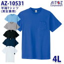 AZ-10531 4L TVc |Pbgt jp AITOZACgX AO2