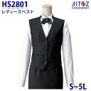 HS2801 S~5L ベスト レディース AITOZアイトス AO10