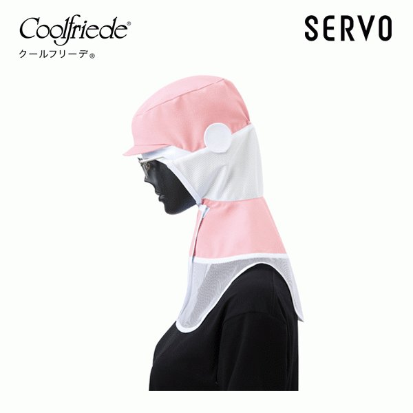 / CD-590-D1 ա ԥ S~LL SERVO FF21