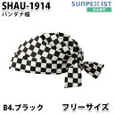 SHAU-1914-B4 jp o_iX ubN SerVo SUNPEX IST