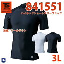 作業服 藤和 TS DESIGN 841551 ハイネックショートスリーブシャツ 3LSALEセール