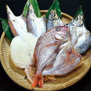 朝獲れピチピチ鮮魚の一夜干しタイ・イカ×各1、アジ・カマス×各2