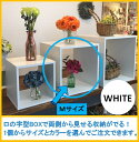 CUBE BOX ロの字(Mサイズ)【送料無料】収納 カラーボックス ラック シンプル 棚 本棚 書籍 テレビ台 DIY メラミン化粧板仕上