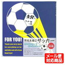 【メール便可】読んで！飾って！ずっと楽しい♪ 学校色紙2 サッカー（ポジション）