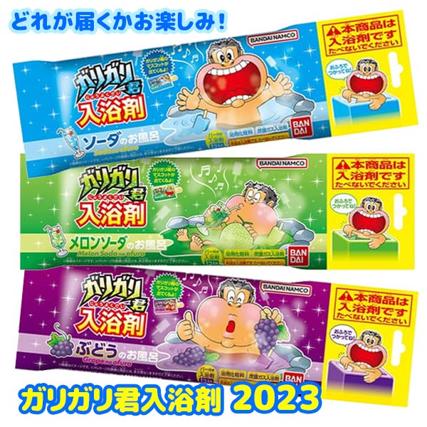 ガリガリ君入浴剤 2023 入浴剤 (何が届くかお楽しみ)のサムネイル