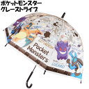 子供ビニール傘 ポケットモンスター グレーストライプ