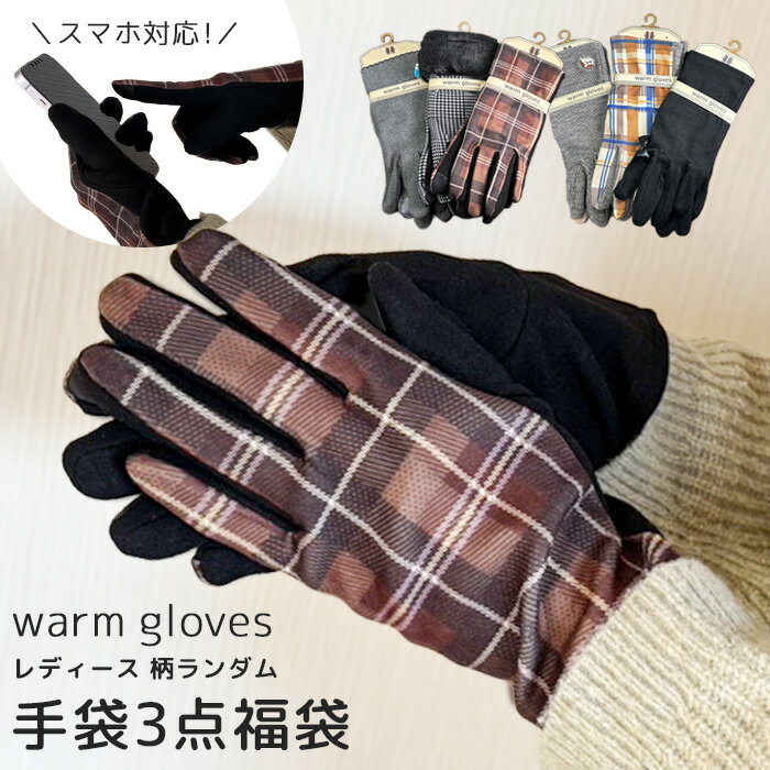 【メール便可】レディース ウォームグローブ 3種 お楽しみ福袋 【どれが届くかお楽しみ♪】(4)