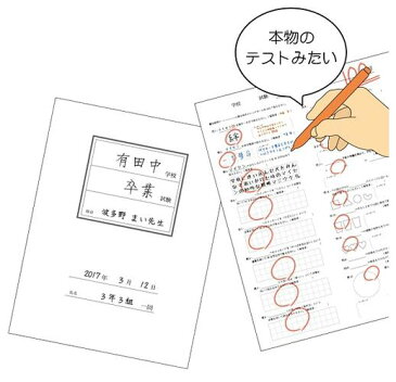 【色紙】【メール便可】おもしろ色紙でメッセージ♪ テスト色紙【おもちゃ グッズ プレゼント 誕生日 クリスマス 父の日 母の日 敬老の日 贈り物 インテリア雑貨 ギフト 文房具 日本製 寄せ書き 卒業祝い 入学祝い メッセージカード 感謝 思い出】