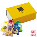 母の日 ユーロコイン ミルクチョコレート 缶 個包装 ばらまき お菓子缶 【251103】【5400円以上で送料無料】