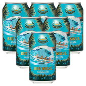 ハワイコナビールビッグウェーブゴールデンエール6缶セット