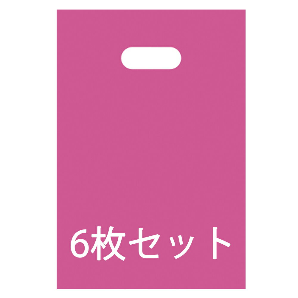 【5400円以上で送料無料】 お渡し用袋 ( 海外おみやげ袋 )大 6枚【GB10】 ※袋のみのご購入不可