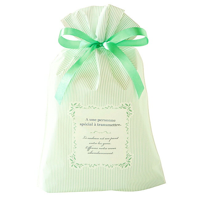 【5400円以上で送料無料】 ギフト袋 《S1枚》 ミントストライプ リボン付【105621】※袋のみのご購入不可