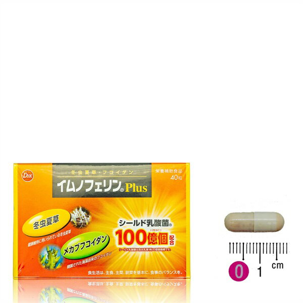 第一薬品工業 イムノフェリンプラス（40粒/約20日分） フコイダン シールド乳酸菌 腸活サポート