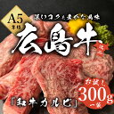 【A5等級】 和牛 広島牛 カルビ 300g 1パック お試し 真空 冷凍 / 焼肉 バーベキュー 霜降り 赤身 国産 ギフト 贈り物 プレゼント 肉 お肉 牛肉 お祝い