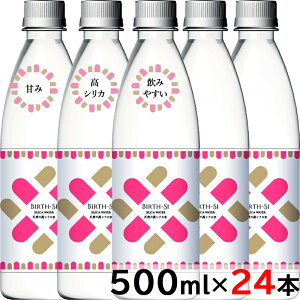 バース Birth 500ml×24本