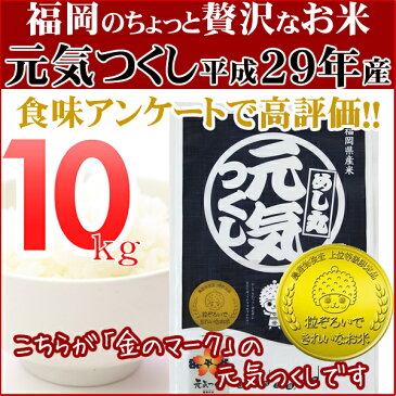 元気つくし 10kg（5kg×2） 金のめし丸マークあり 福岡県産 平成29年産