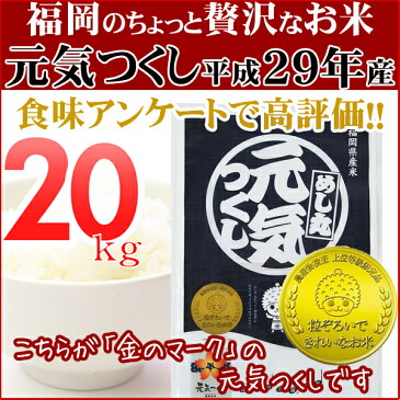 元気つくし 20kg（5kg×2） 金のめし丸マークあり 福岡県産 平成29年産