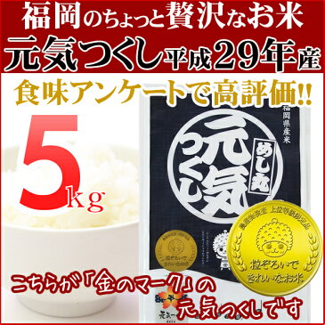 元気つくし 5kg 金のめし丸マークあり 福岡県産 平成29年産