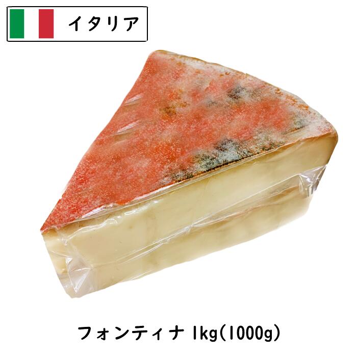 (カット)DOP イタリア フォンティナ チーズ 1000g　1個(1kg)/5個セット(5kg)/10個セット(10kg)/13個セット(13kg)