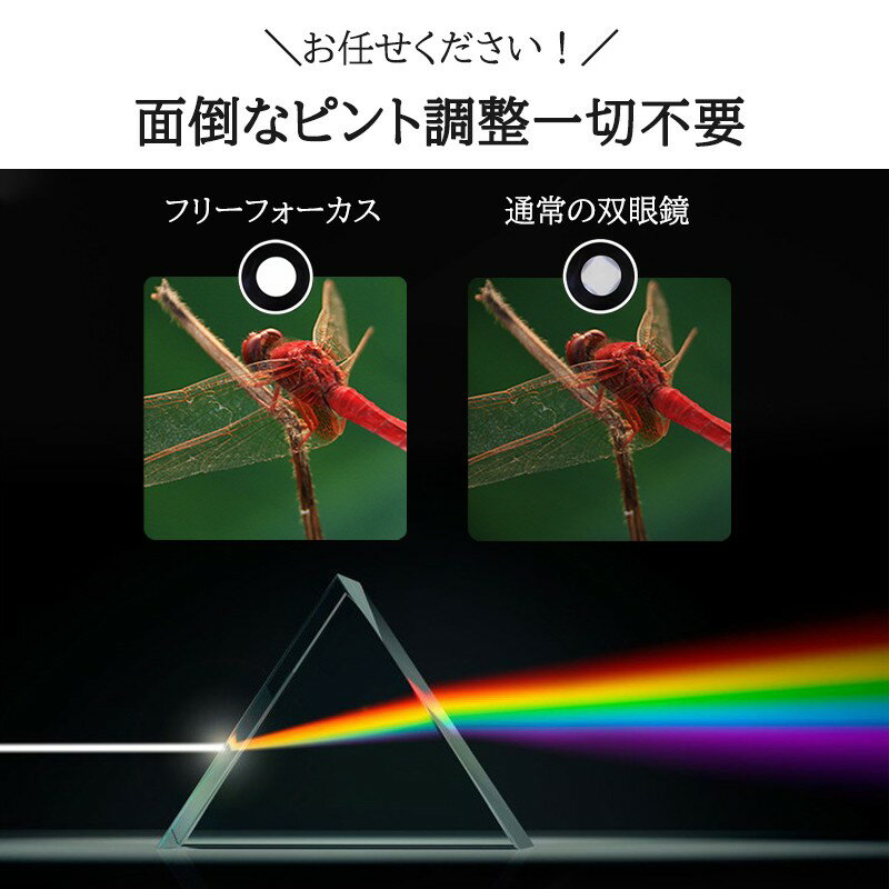 �ڥ饰�饹 �д�� �ե꡼�ե������� ��Ψ10�� 25���� �д�� ����Ψ ���󥵡��� ��Ψ10 ����25 �ե꡼�ե������� �����ȥե������� ���ڥ饰�饹 �饤���� �С��ɥ����å���