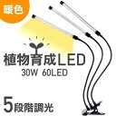 雨の日でも植物を育成!3灯式植物育成ライト 植物ライト LED 植物育成ライト 3灯 植物育成用ledライト 30W 60LED 栽培 成長 LEDライト フル...