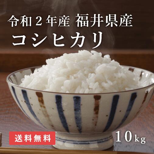 米 10kg コシヒカリ 令和2年産 福井県産 送料無料 白米