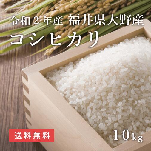 米 10kg コシヒカリ 令和2年産 福井県産 大野産 送料無料 白米