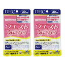 5個セット　DHC 柿渋エチケット（30日） dhc 柿タンニン　健康食品 補助 サプリメント