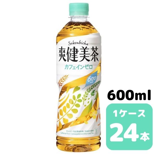 RJER[ u 600ml PET 24{ 1P[X  ybg{g coca y51029z