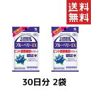 小林製薬 ブルーベリーEX 60粒/30日分 2袋 ビルベリー果実エキス配合食品 送料無料