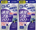 DHC 速攻ブルーベリー 20日分 2袋 40粒