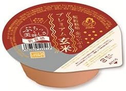 幸南食糧 プレミアム玄米ごはん 120g×12個入×(2ケース)