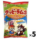 クッピーラムネ64g×5袋 カクダイ 製菓 大きいラムネ