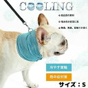 cooling dog bandana STCY  L  o_i ⊴ ^ ybg ybgpi  MǑ΍