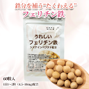 「うれしいフェリチン鉄 60粒」 鉄