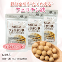 クーポンでお得に♪「うれしいフェリチン鉄 60粒×3袋セット」 鉄 鉄分 サプリ fe 鉄分補給 鉄分不足 貯蔵鉄 フェリチン鉄 非ヘム鉄 フェリチン鉄サプリ ヘム鉄 ではない 隠れ貧血 ミネラル 葉酸 栄養機能食品 子供 女性 妊婦 日本製 サプリエ ※ネコポス便発送