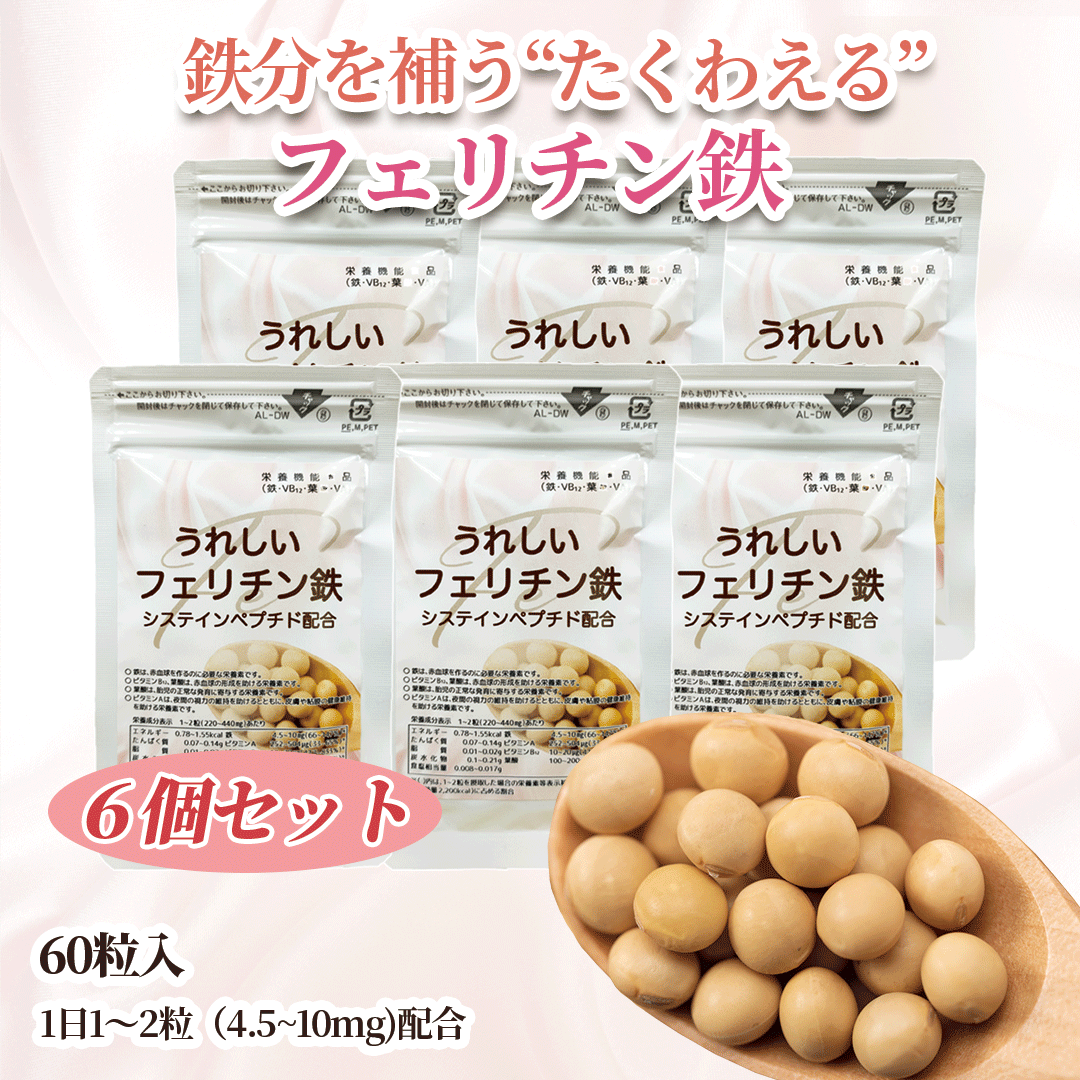 クーポンでお得に♪「うれしいフェリチン鉄 60粒×6袋セット」 鉄 鉄分 サプリ fe 鉄分補給 鉄分不足 貯..