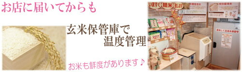 令和7年度産　富山県産 特別栽培米富山県産　てんたかく5キロ【送料無料】玄米を白米に精米すると、重量が約1割減少します。　新米 「令和7年度産　富山県産 特別栽培米てんたかく 玄米5kg」 【送料無料】玄米・1分搗き・3分搗き・5分搗き・7分搗き・白米・上白米●玄米を白米に精米すると、重量が約1割減少します。農薬・除草剤3成分まで（富山県標準は18成分） 栽培期間中化学肥料不使用