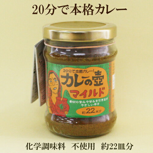 4個セット●カレーの壺　マイルド　第3世界ショップ　約22皿分　220g×4　カレーペースト　カレールー　化学調味料不使用・小麦粉不使用　カレーの壺　マイルド　カレールウ　小麦粉不使用 カレー 自然食品